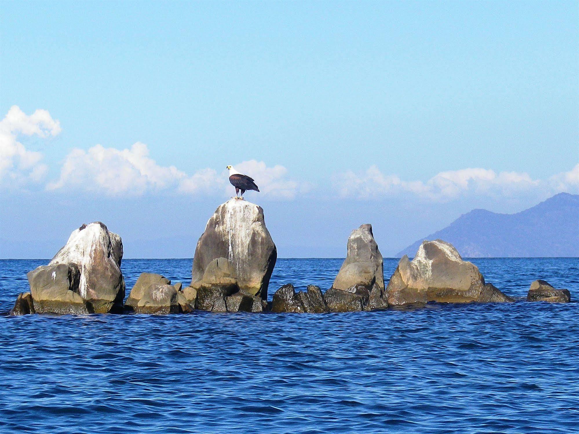 Blue Zebra Island Lodge Senga Buitenkant foto